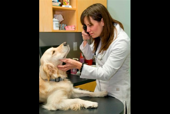 Dr. Sarah & Cheddar