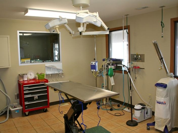 Surgery Center