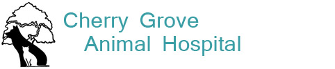 Cherry Grove Animal Hospital