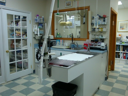 The Cat Hospital of Fairfax, Inc.