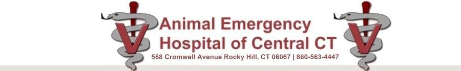 Animal Emergency Hospital of Central CT