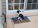 Lucy and Lilly