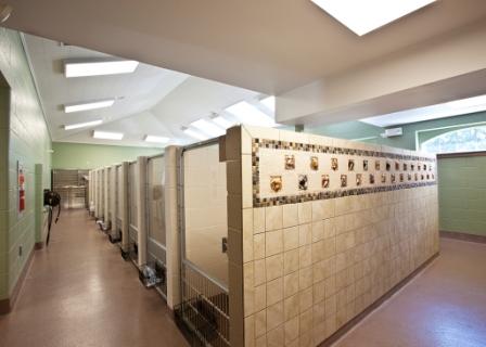 BOARDING KENNEL