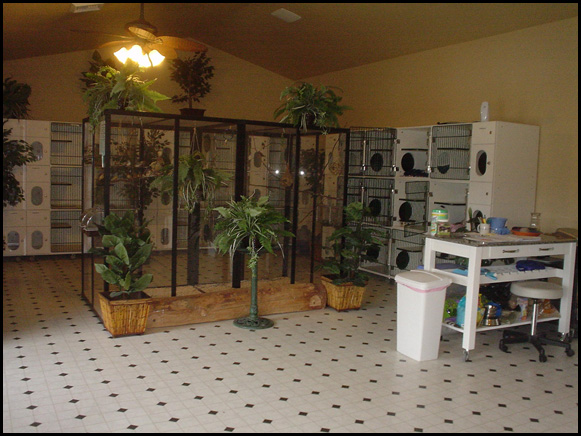 Catworld Boarding