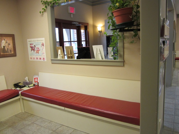 Dog Waiting Area