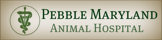 Pebble Maryland Animal Hospital