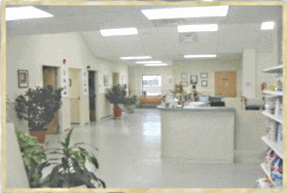 Reception Area & Lobby