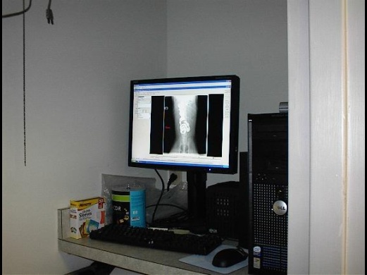 Radiology