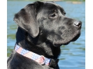 Ruger