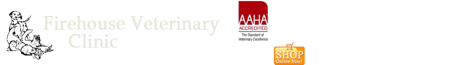 Firehouse Veterinary Clinic