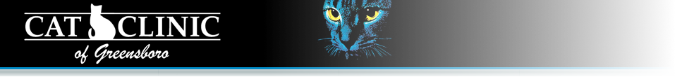 Cat Clinic Of Greensboro