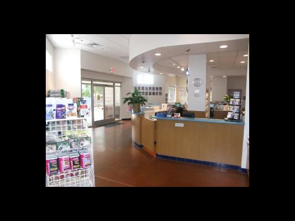 Reception Area