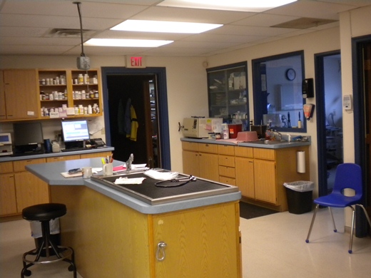 Treatment area