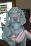 Awe Cute!