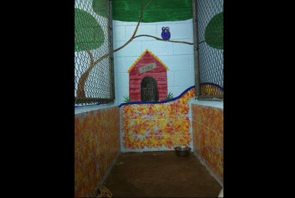 Kennel