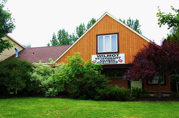 Summer Exterior