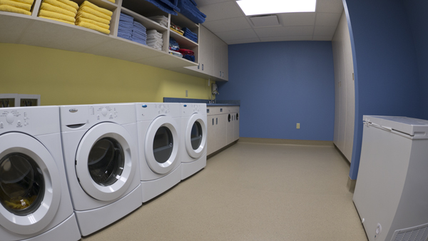 Laundry area
