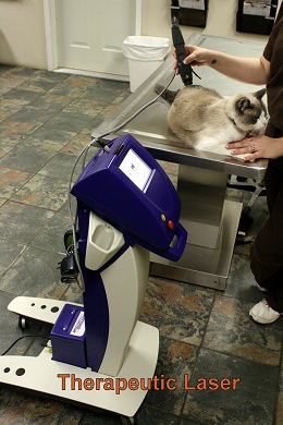 Therapeutic laser