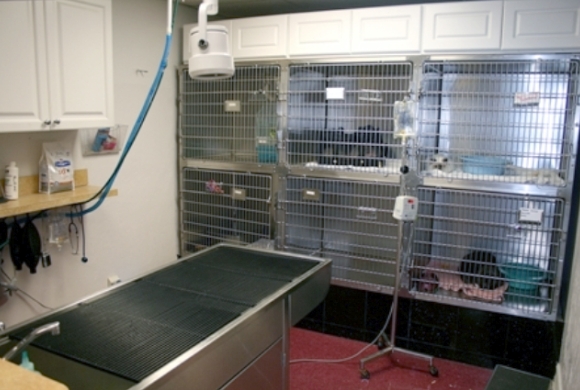 Dental Treatment Area