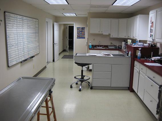 Treatment Area