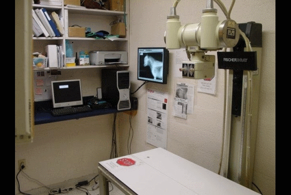 X Ray