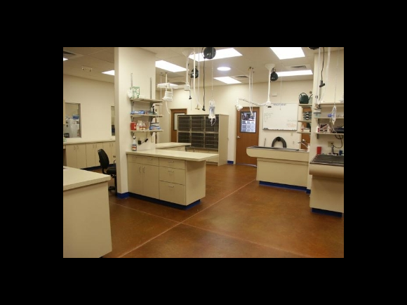 Treatment Area