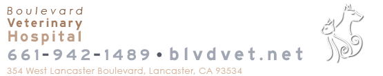 Boulevard Veterinary Hospital