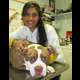 Dr. Sara Husain