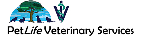 petlife veterinary clinic