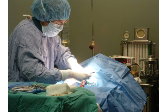 Dr. Collisi performing a spay