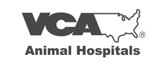 VCA Logo