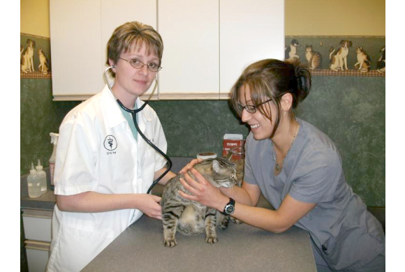 Dr. Kronsbein with patient