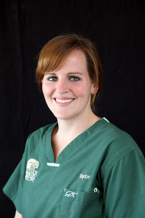Taylor Quirk, Veterinary Nurse