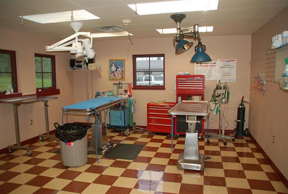 Our Surgical Suite