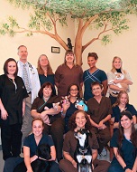 Dr. Harvey, Dr. Lock & The Pet Care Team