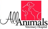 All Animals Veterinary Hospital