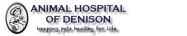 Animal Hospital of Denison