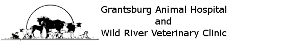 Grantsburg Animal Hospital and Wild River Veterinary Clinic