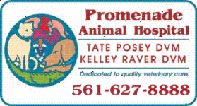 Promenade Animal Hospital