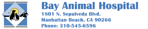 Bay Animal Hospital