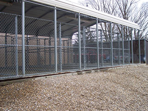 Outdoor Dog Runs Outdoor Dog Runs