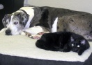 Best Friends