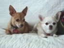 Pea Wee & Sissy