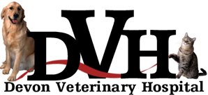 Devon Veterinary Hospital