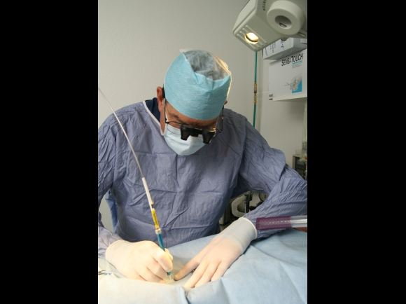 Certified Veterinary Laser Surgeon on staff