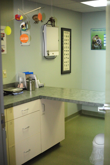 Fourth Examination Room