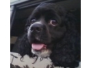 Winnie