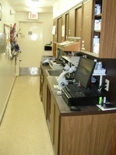 Pharmacy