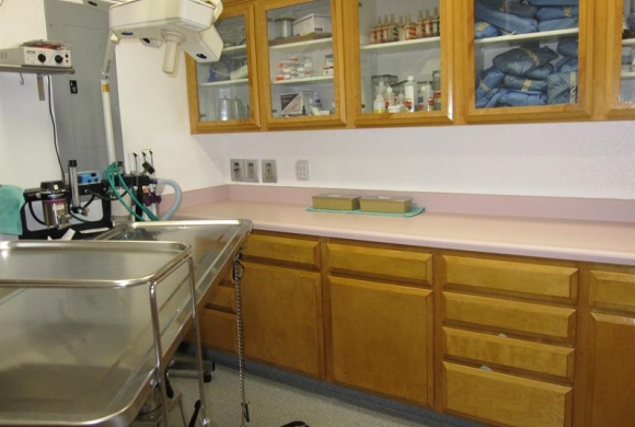 Surgery Suite