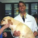 Norris W McGehee, DVM, Diplomate ABVP, Owner